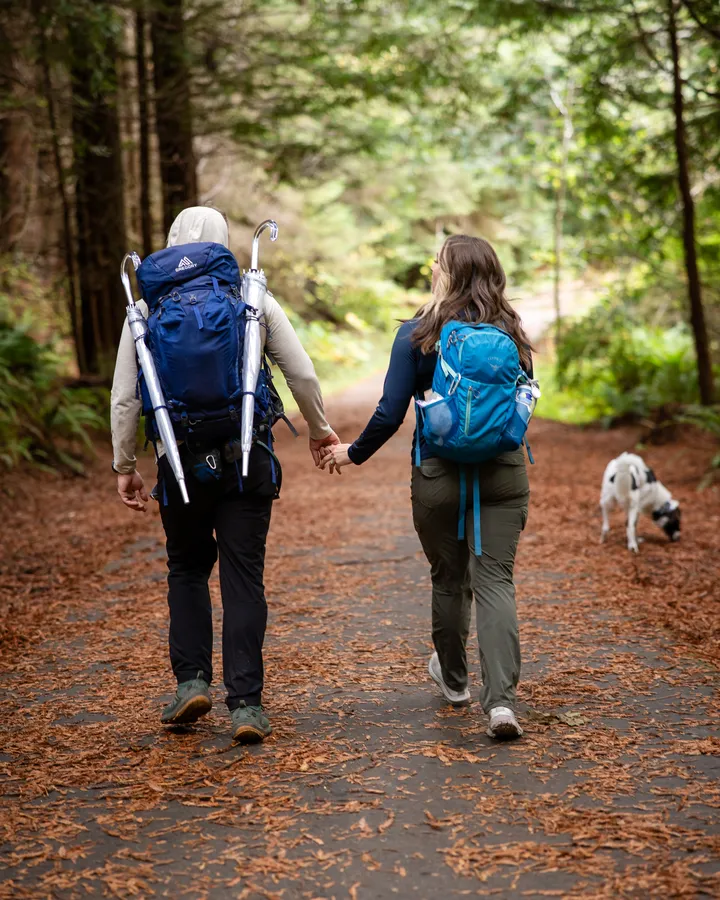 Couple hiking into the redwoods with their dog on their elopement day